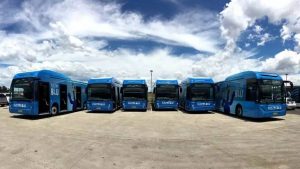 昆州今年新增逾50辆电动巴士